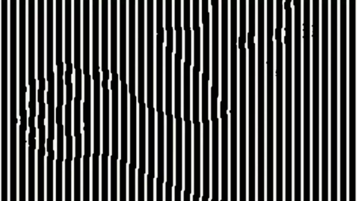 Znajdź zwierzę w tej iluzji optycznej: nie każdy może zrobić to dobrze za pierwszym razem