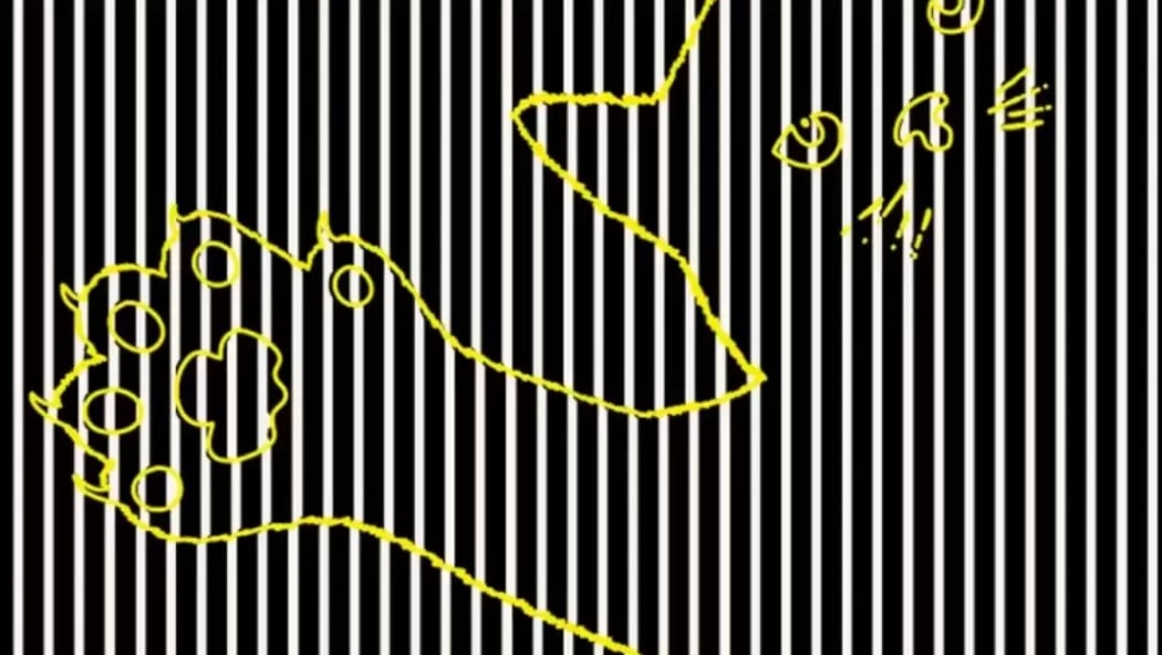 Znajdź zwierzę w tej iluzji optycznej: nie każdy może zrobić to dobrze za pierwszym razem