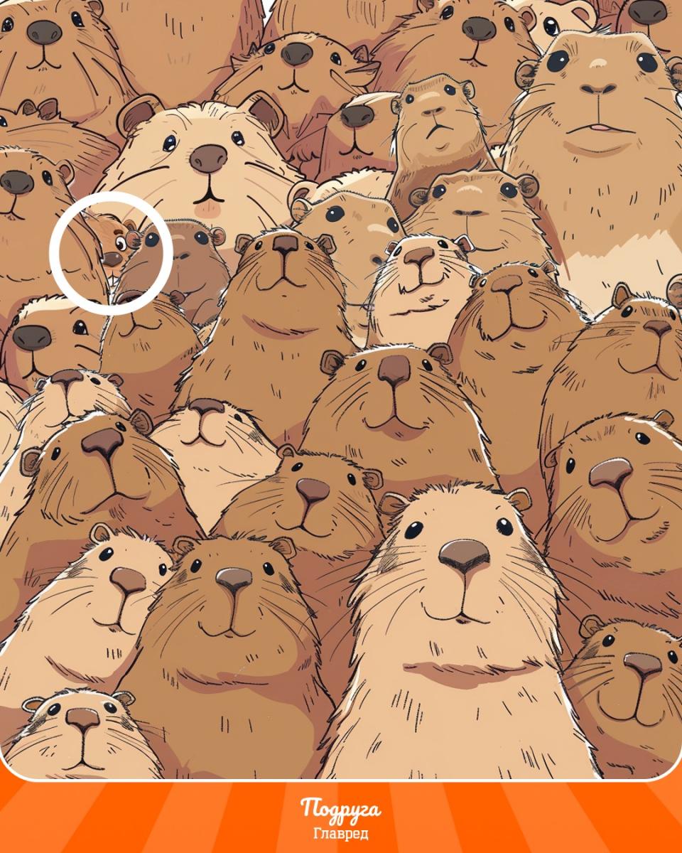 Rozwiązanie zagadki z bobrem