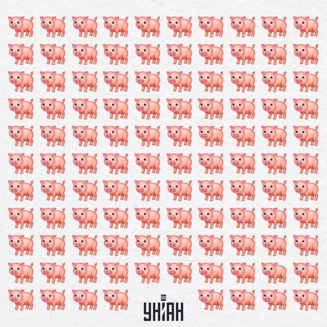 Nasza świnia gdzieś tam jest, nie przyciągnie naszego wzroku tak łatwo / Moje Collage