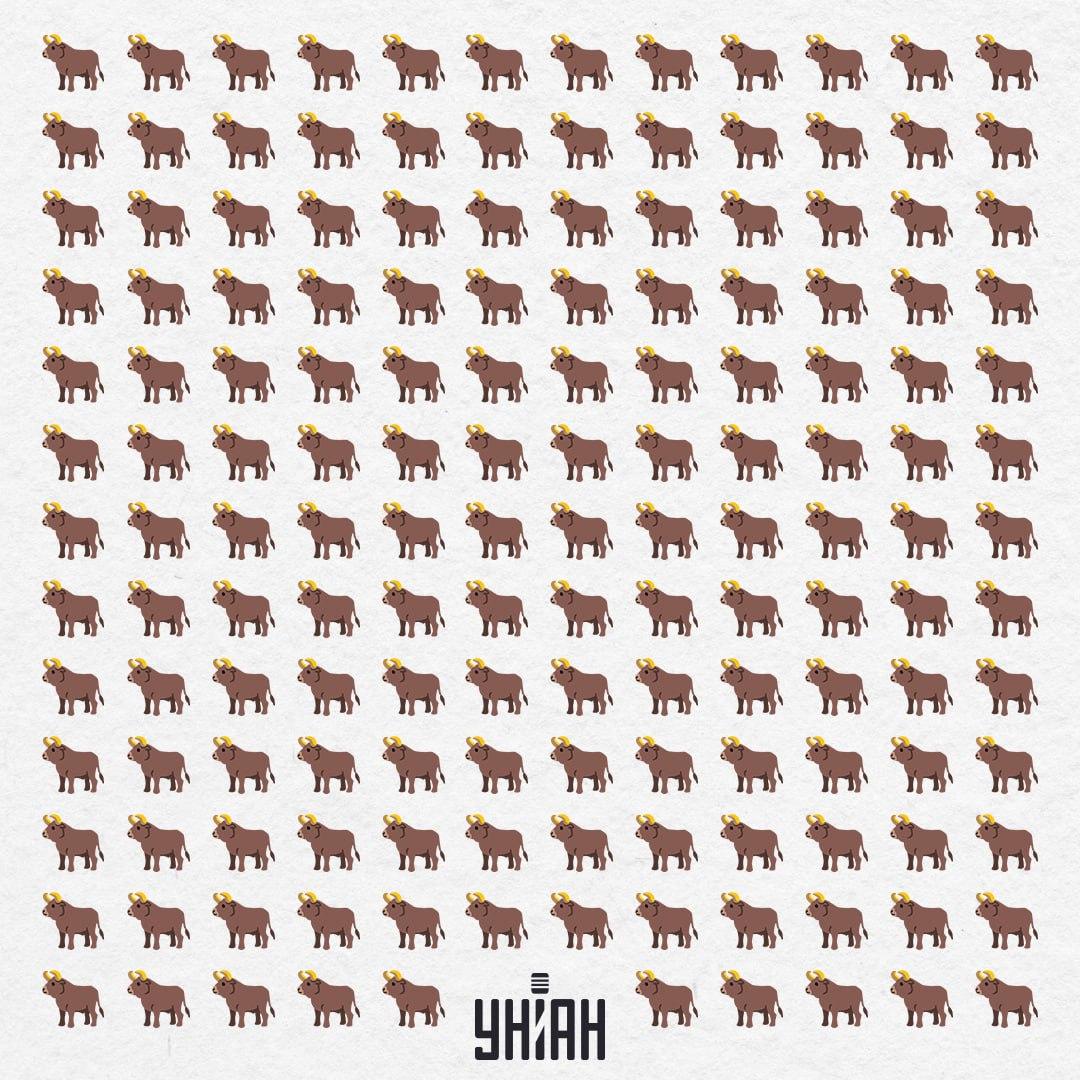 Jest ich tutaj 154, ale jeden nie jest taki - powinieneś go zobaczyć w 10 sekund / Moje Collage