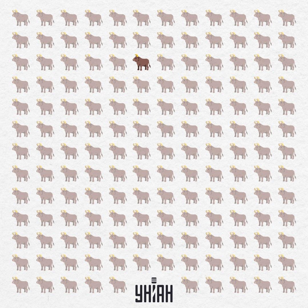 Ukrywał się w centrum, prawie od samej góry / Moje Collage