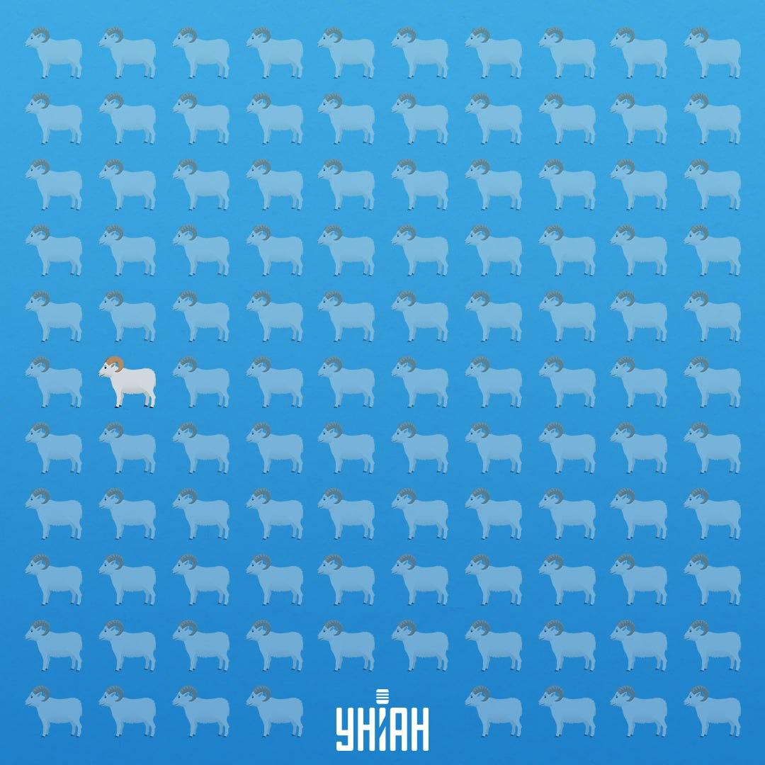 Był w siódmym rzędzie po lewej stronie / Moje Collage