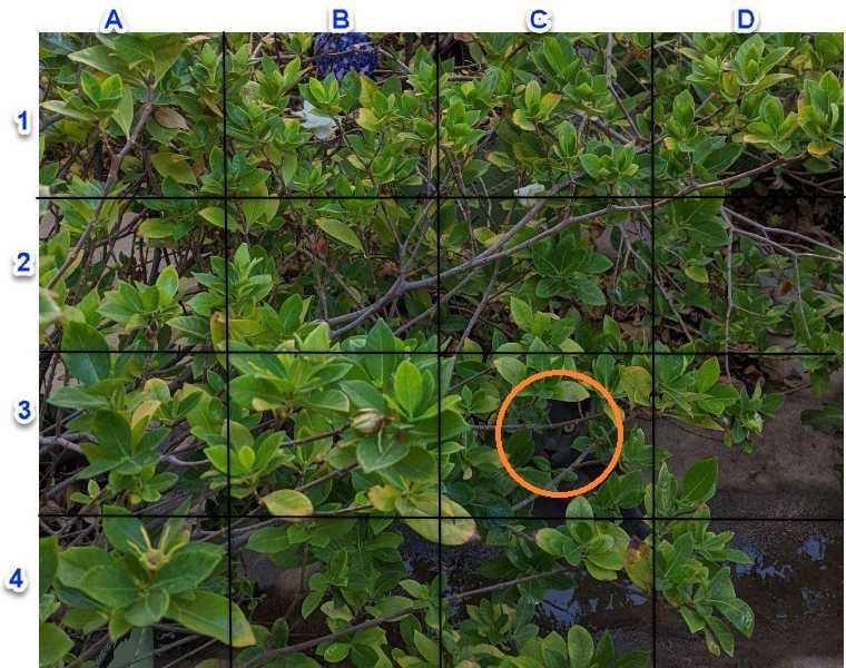 Rozwiązanie - kot ukryty w prawym dolnym rogu
