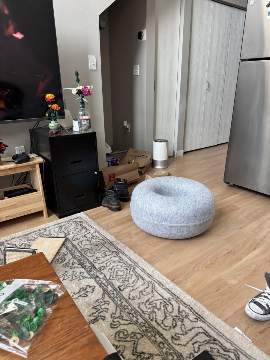 Czy widzisz rudego kota na zdjęciu? Czy widzisz na zdjęciu rudego kota?