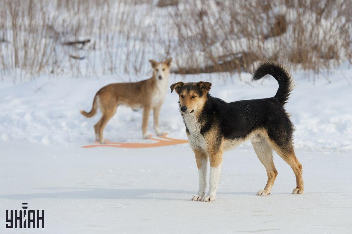 Jeden z cieni jest nieprawidłowo przedstawiony na zdjęciu