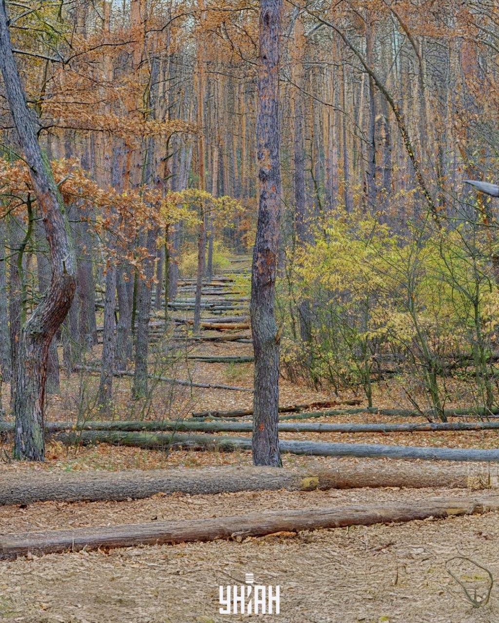 Zdjęcie Moje, Falin Vladimir