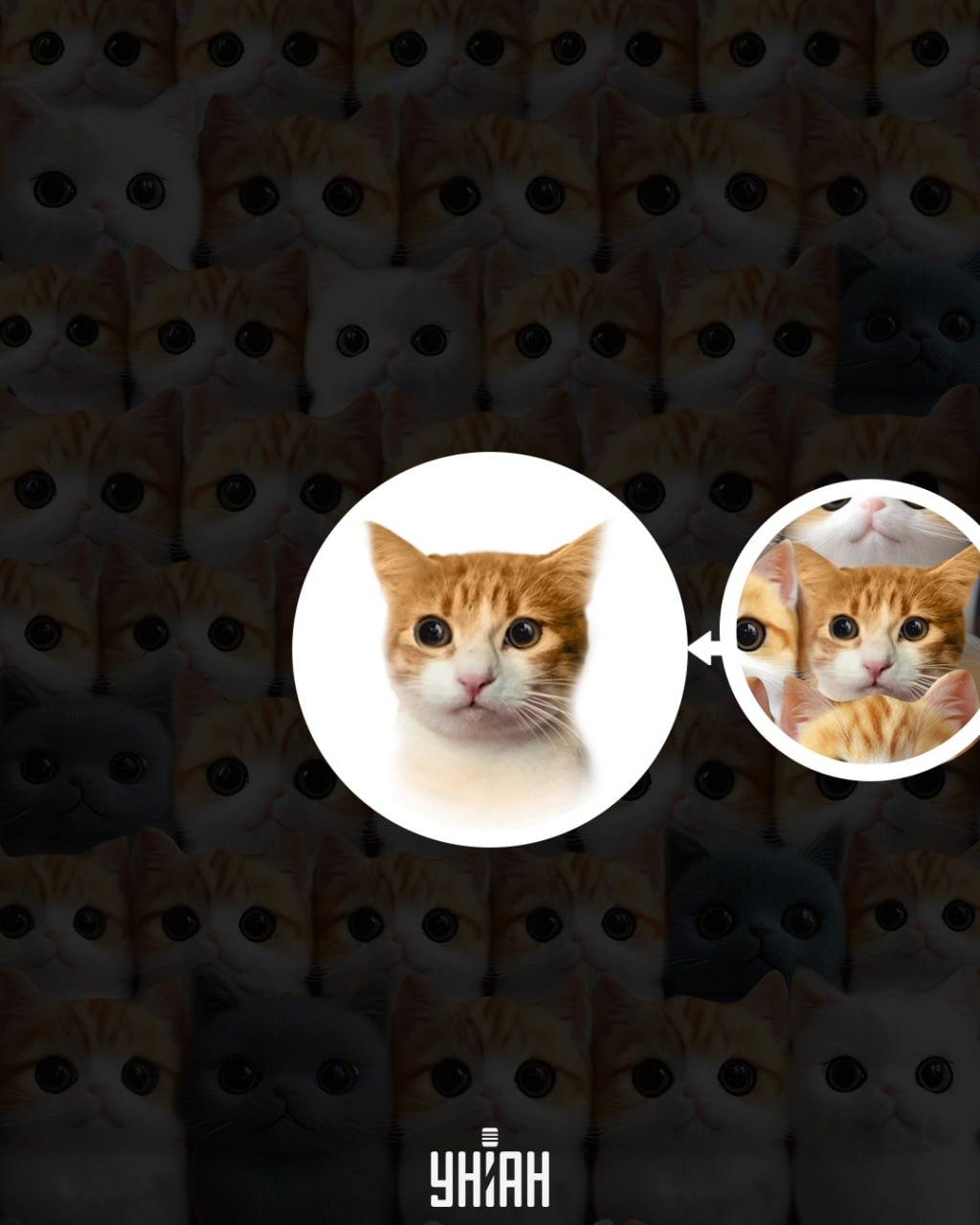 Kolaż Moje z rozwiązaniem