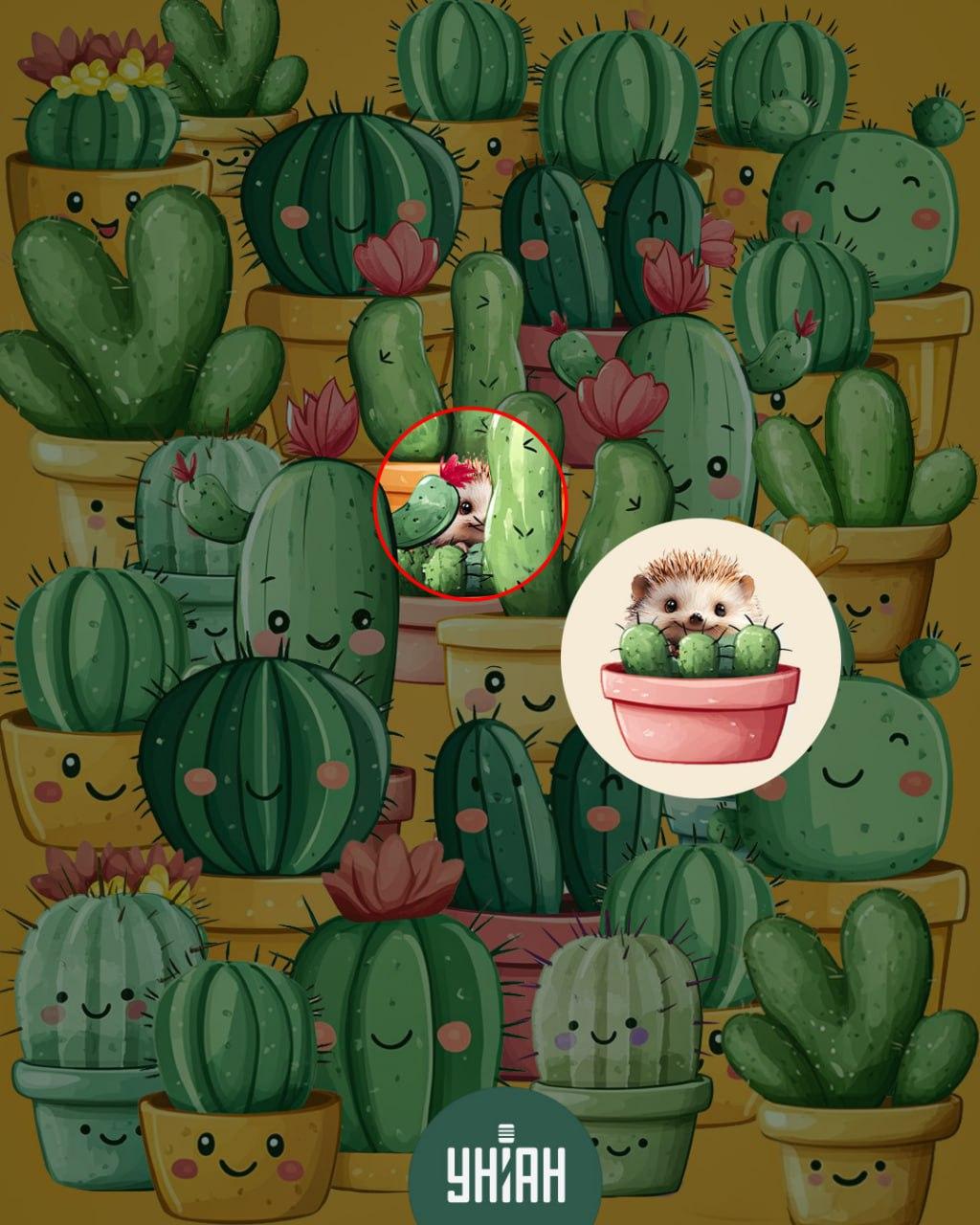 Kolaż Moje z zaznaczonym jeżem