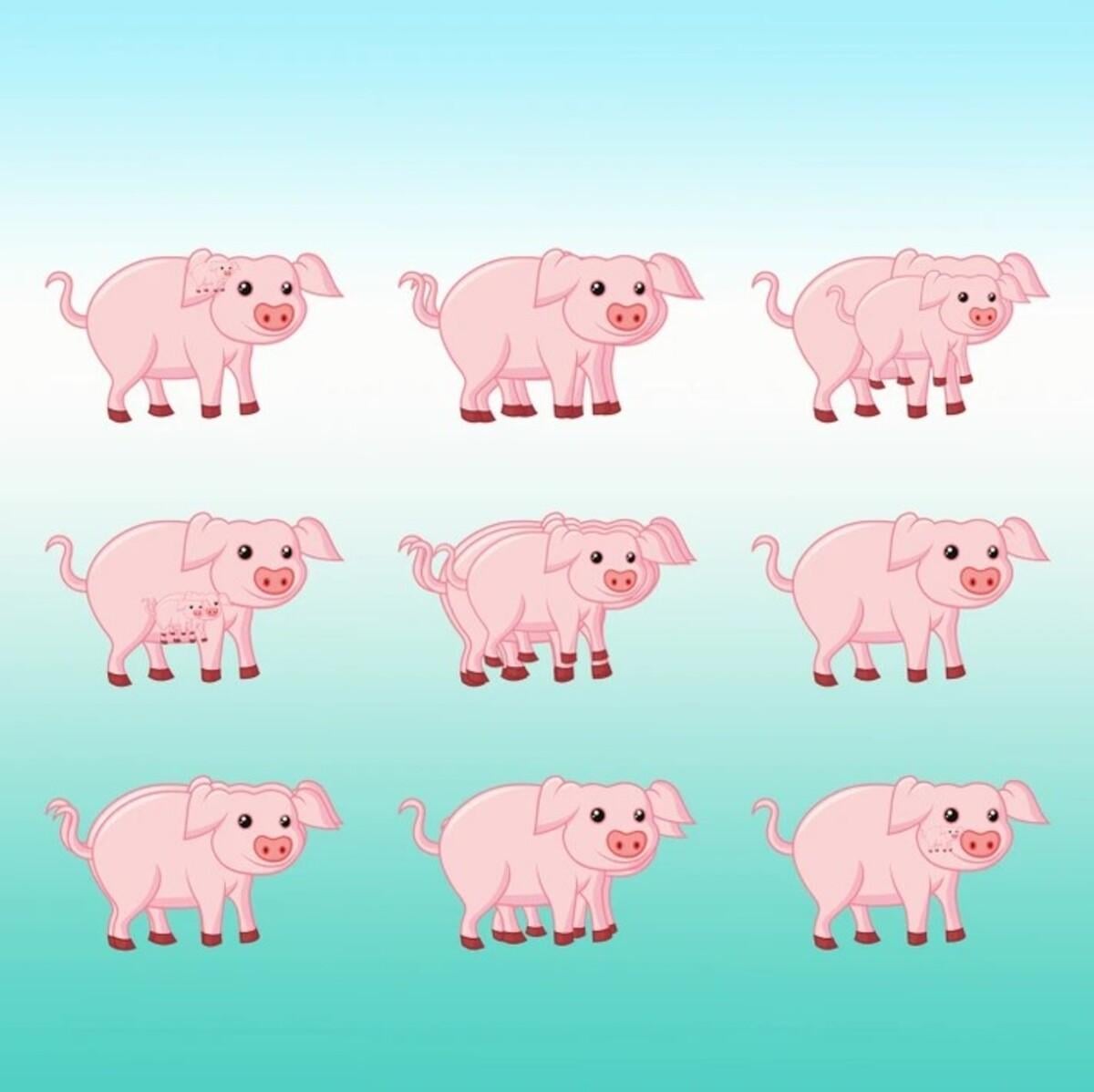 Jeśli szybko ukończysz łamigłówkę, masz wysokie IQ / Rysunek jasnej strony