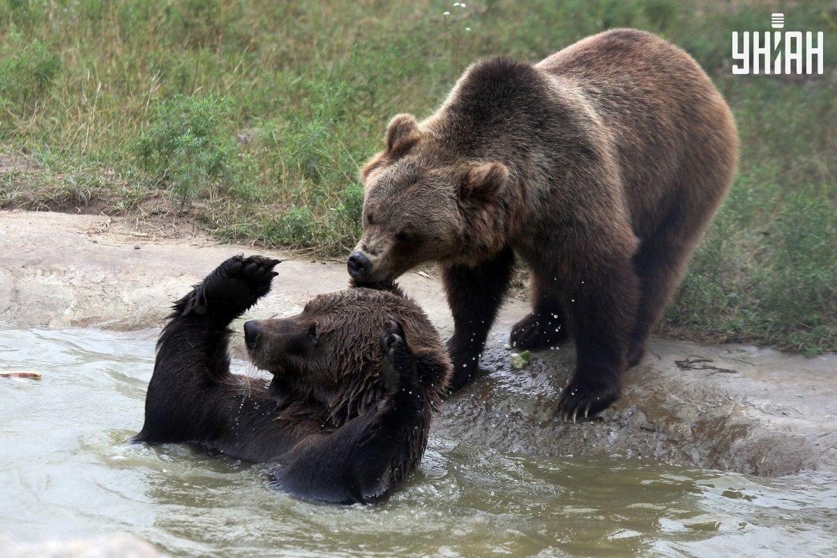 Zdjęcie Moje Zdjęcie Moje