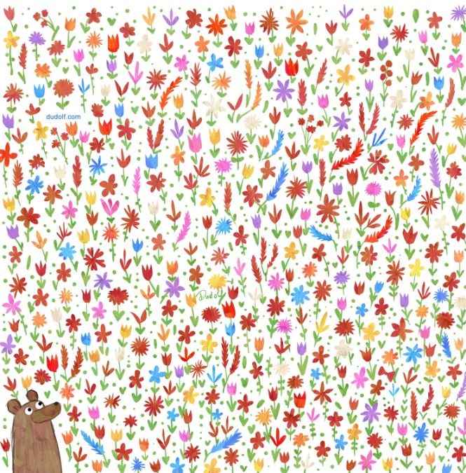 Niedźwiedź, puzzle Niedźwiedź, puzzle