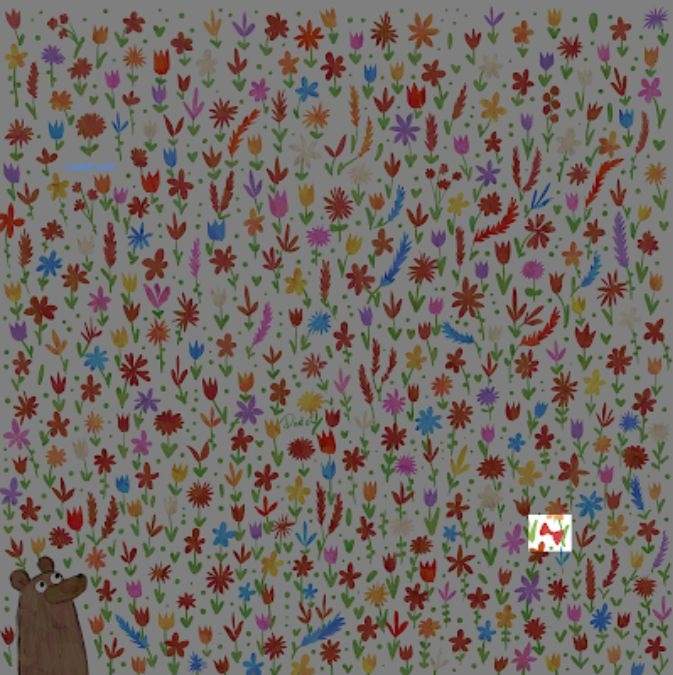 Niedźwiedź, puzzle Niedźwiedź, zagadka