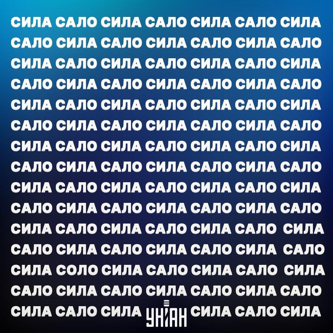 Zdjęcie Moje Zdjęcie Moje