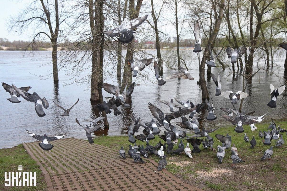 Zdjęcie z ukrytym wróblem