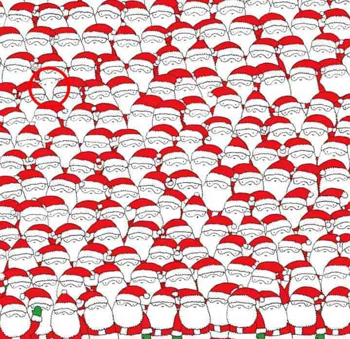 Rozwiązanie zagadki - owca zaznaczona