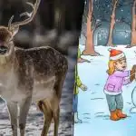 Sprytna świąteczna łamigłówka: musisz znaleźć renifera w 8 sekund