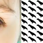 Tylko 5% osób znajdzie papugę w tej iluzji optycznej w