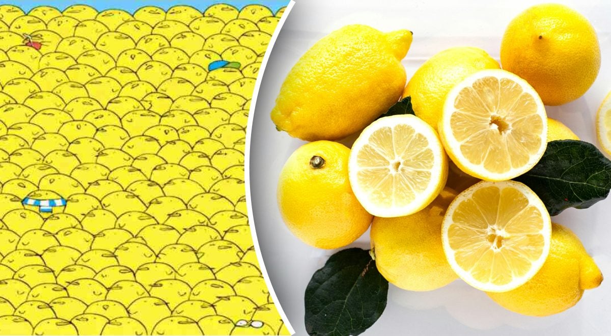 Zagadka, cytryny Enigma, cytryny