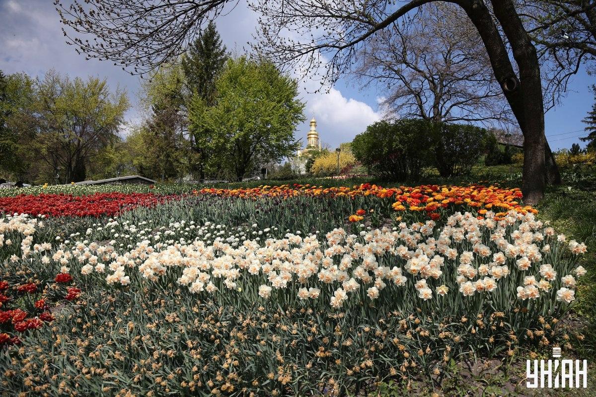 Znajdź ptaka w mniej niż 10 sekund / kolaż Moje